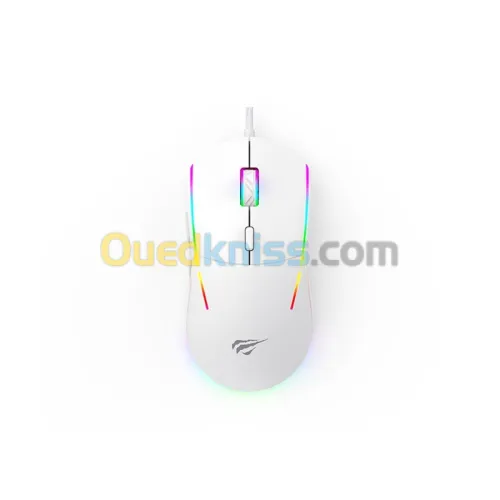 SOURIS HAVIT MS961