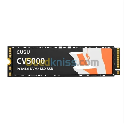 SSD M.2 PCIe 4.0 NVMe CUSU CV5000 1TO