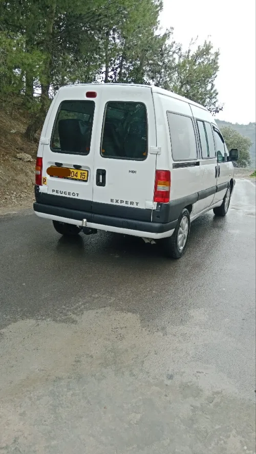 Peugeot Expert 2004 V.U Court