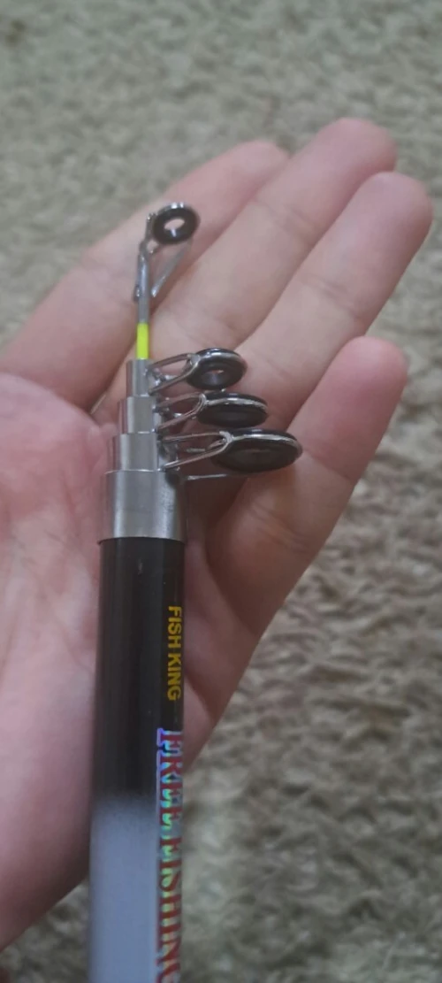 canne à pêche télescopique