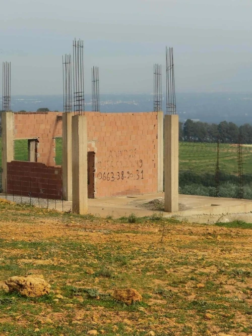 Vente Terrain Tipaza 