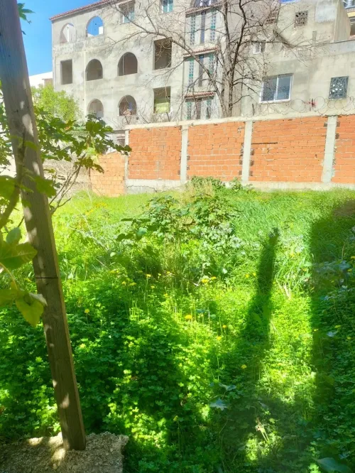 Vente Terrain Alger Ouled fayet