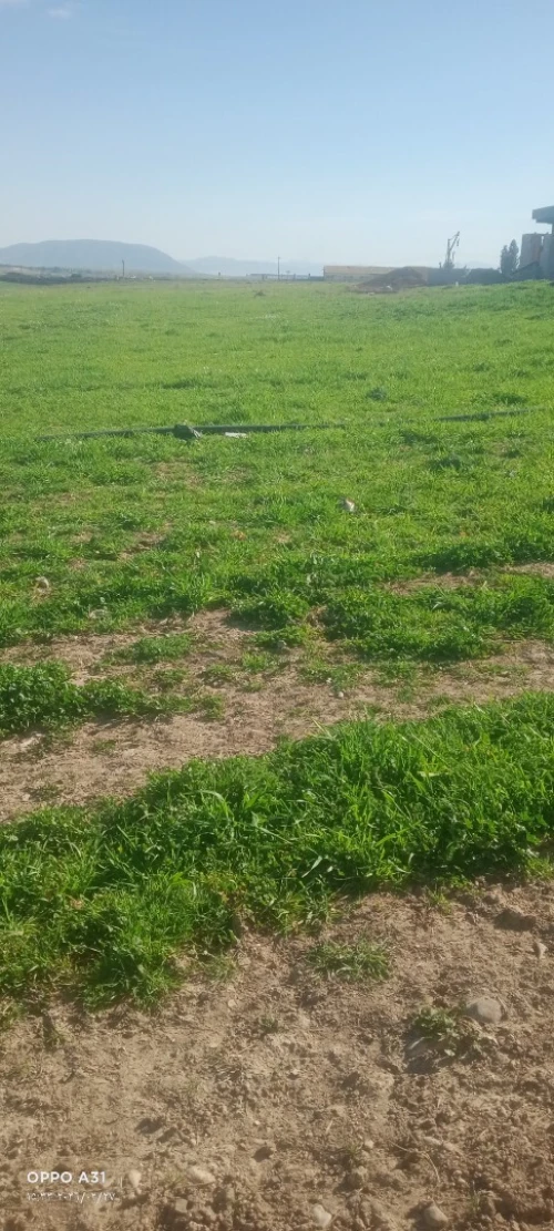 Vente Terrain Agricole Sétif Ain arnat