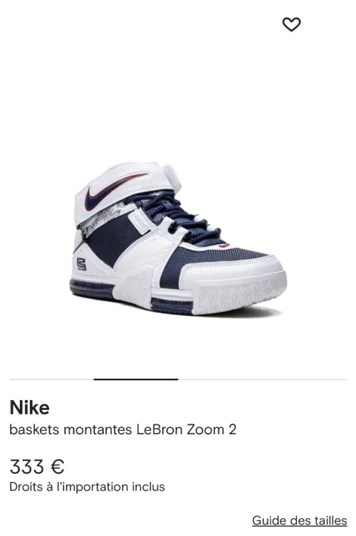 Nike LeBrone zoom2 