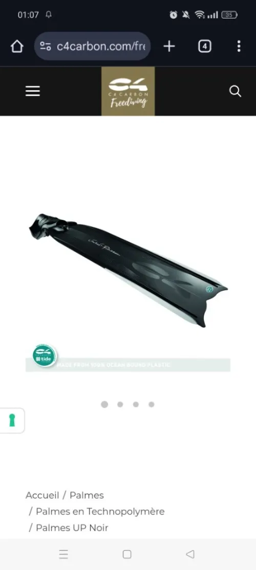 Les palmes C4 carbon