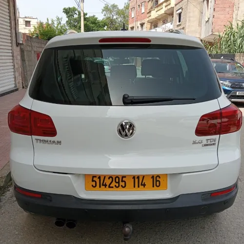 Volkswagen Tiguan 2014 Cup