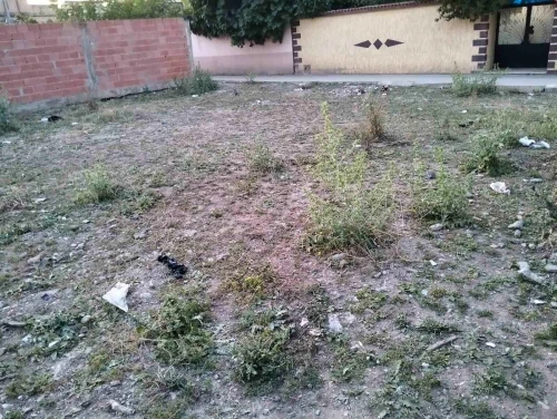 Vente Terrain Blida Guerrouaou