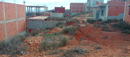Vente Terrain Tlemcen Marsa ben mhidi