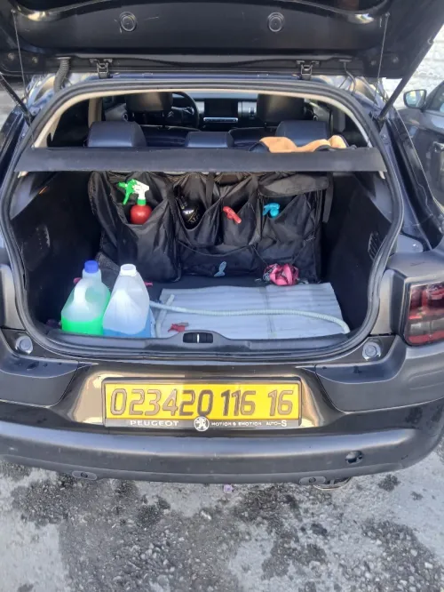 Citroen C4 Cactus 2016 C4 Cactus