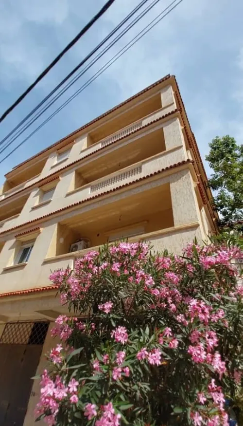 Location Appartement F3 Alger Birkhadem