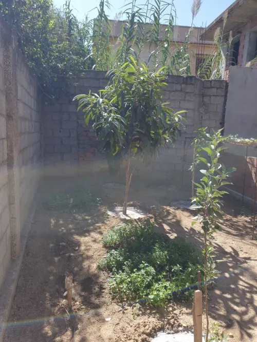 Vente Carcasse Boumerdès Ouled hedadj