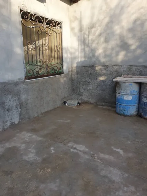 Vente Carcasse Boumerdès Ouled hedadj