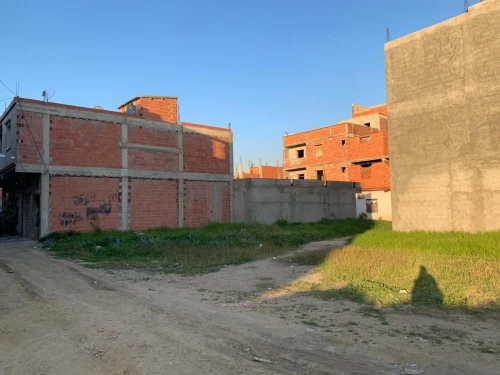 Vente Terrain Blida Ben khellil