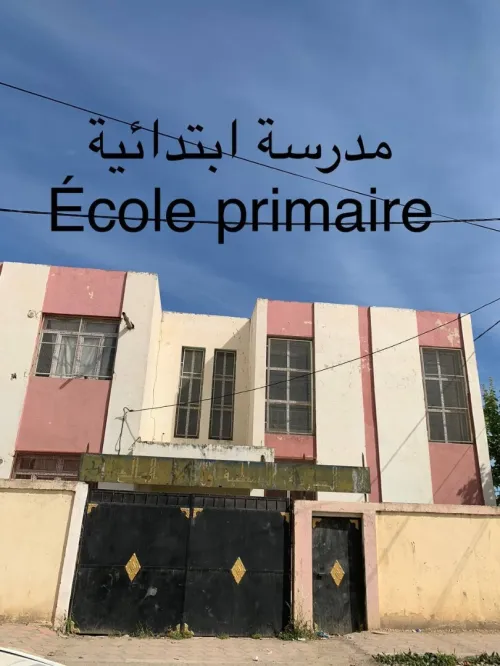 Vente Terrain Blida Ben khellil
