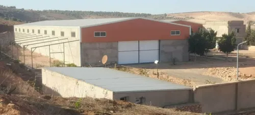Location Hangar Oran El braya