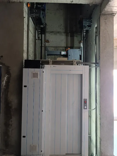 Maintenance d'ascenseurs professionnel 