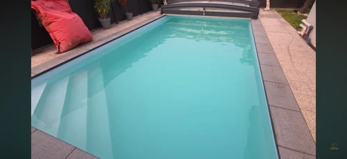 Nettoyeur/ Aspirateur fond de piscine Seauto Crab Pro 