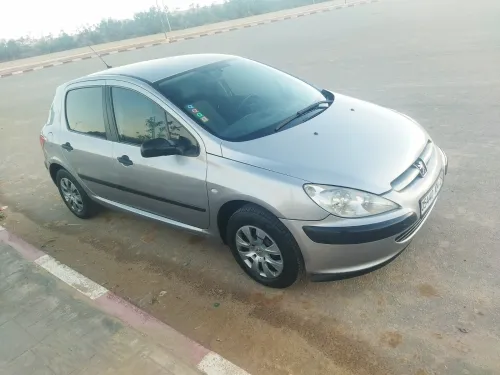 Peugeot 307 2004 XT
