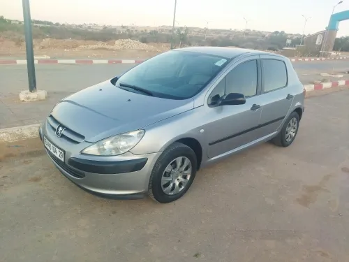 Peugeot 307 2004 XT