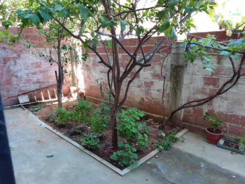 Location Appartement Niveau de villa F2 Jijel Jijel