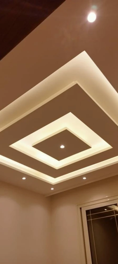 faux plafond BA13/ pvc/demantable  