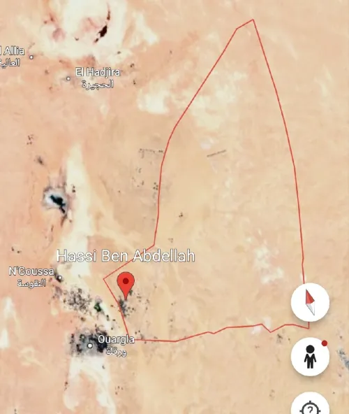 Vente Terrain Agricole Ouargla Hassi ben abdellah