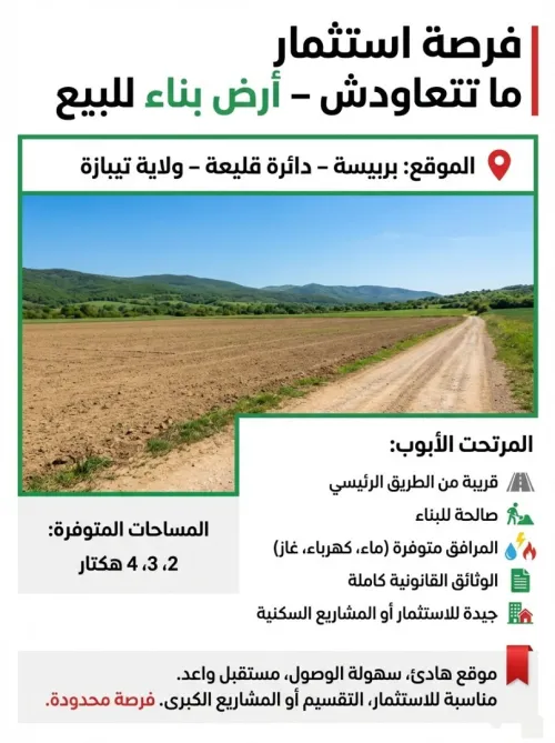 Vente Terrain Tipaza Kolea