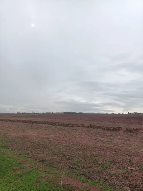 Vente Terrain Agricole Tipaza Khemisti