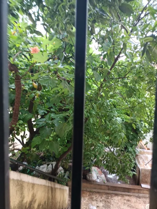 Vente Villa Tipaza Kolea