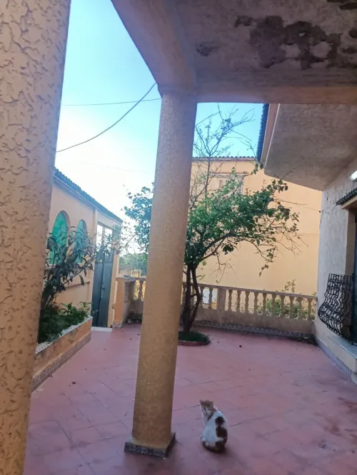 Vente Villa Appartement Tipaza Fouka