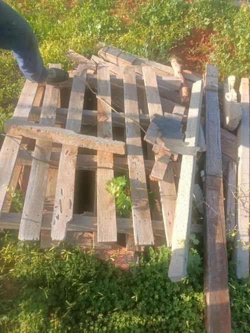 Vente Terrain Agricole Tipaza Tipaza