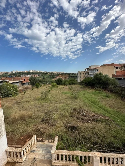 Vente Terrain Tipaza Kolea