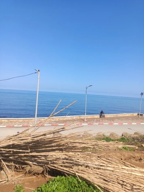 Vente Terrain Agricole Tipaza Fouka