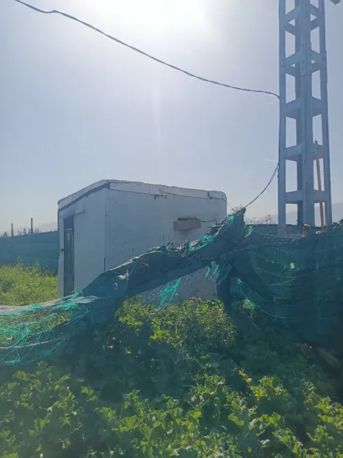 Vente Terrain Agricole Tipaza Attatba