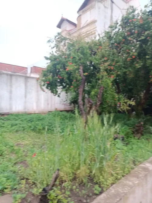 Vente Villa Tipaza Kolea