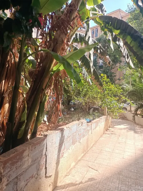 Vente Appartement F3 Tipaza Fouka