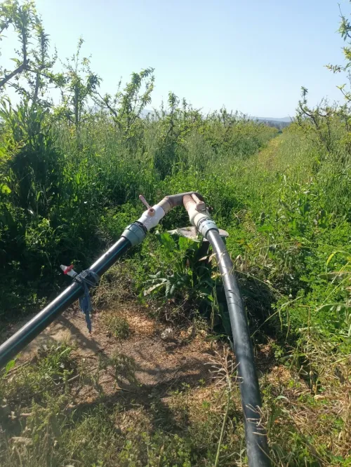 Vente Terrain Agricole Tipaza Attatba