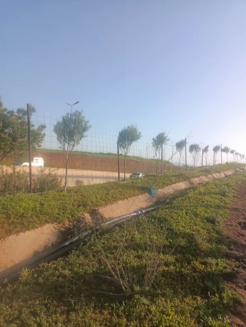 Vente Terrain Agricole Tipaza Tipaza