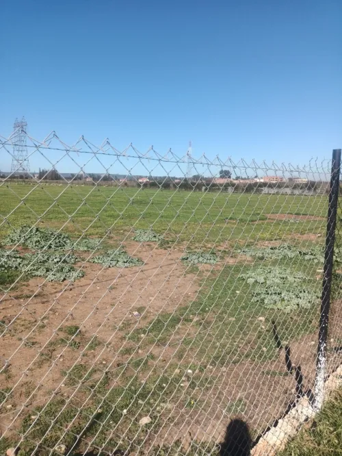 Vente Terrain Agricole Tipaza Ahmar el ain