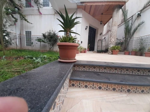 Vente Villa Tipaza Tipaza