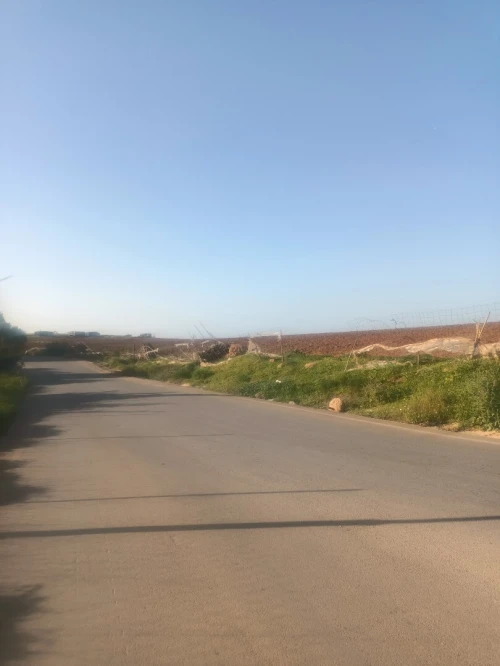 Vente Terrain Agricole Tipaza Tipaza