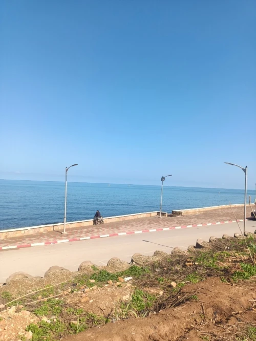 Vente Terrain Agricole Tipaza Fouka
