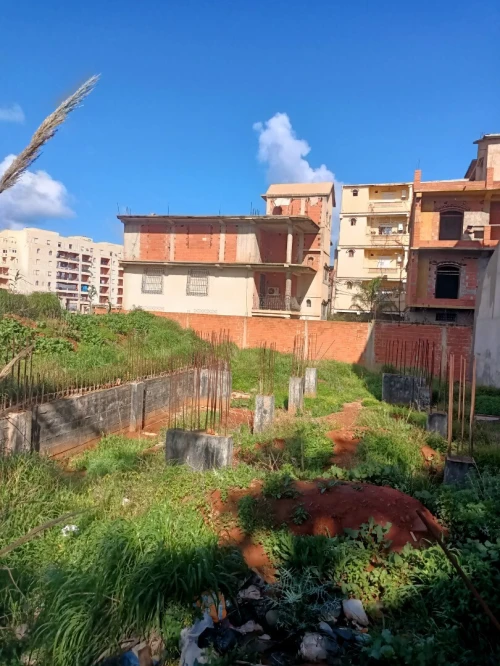 Vente Terrain Tipaza Fouka
