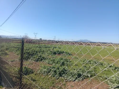Vente Terrain Agricole Tipaza Ahmar el ain