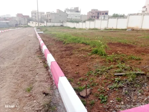 Vente Terrain Tipaza Kolea