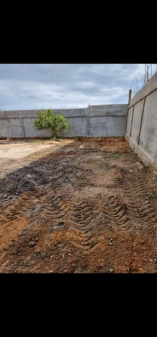 Location Terrain Tipaza Chaiba