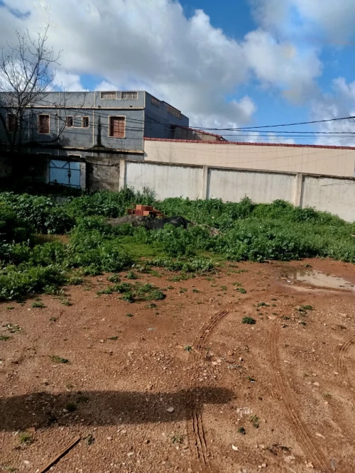 Vente Terrain Tipaza Fouka