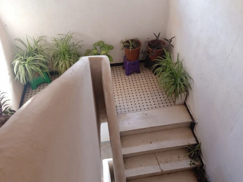 Vente Appartement Tipaza Kolea
