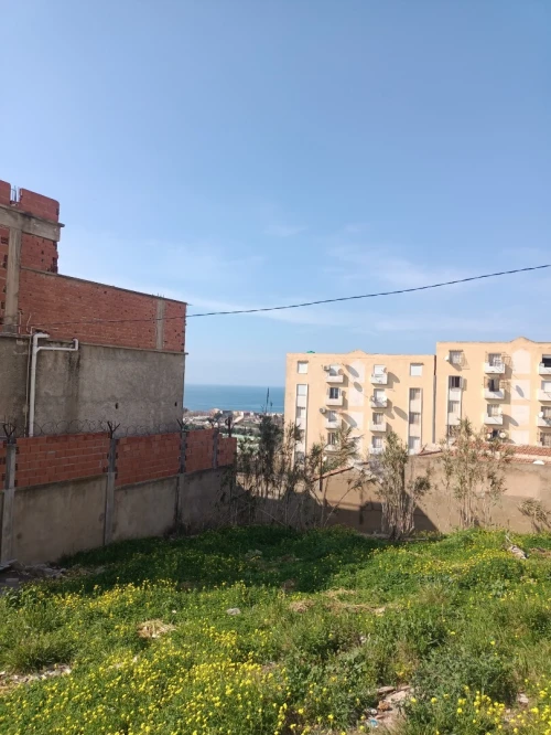 Vente Carcasse Tipaza Fouka