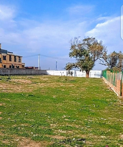Vente Terrain Boumerdès Thenia
